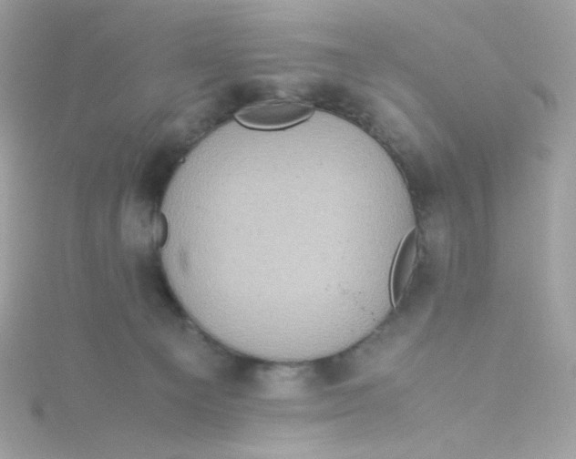 X0000115510129200911271439