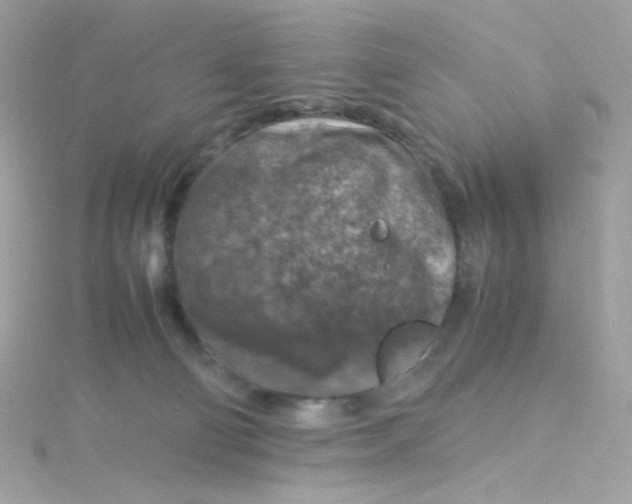 X0000115510130200911271439