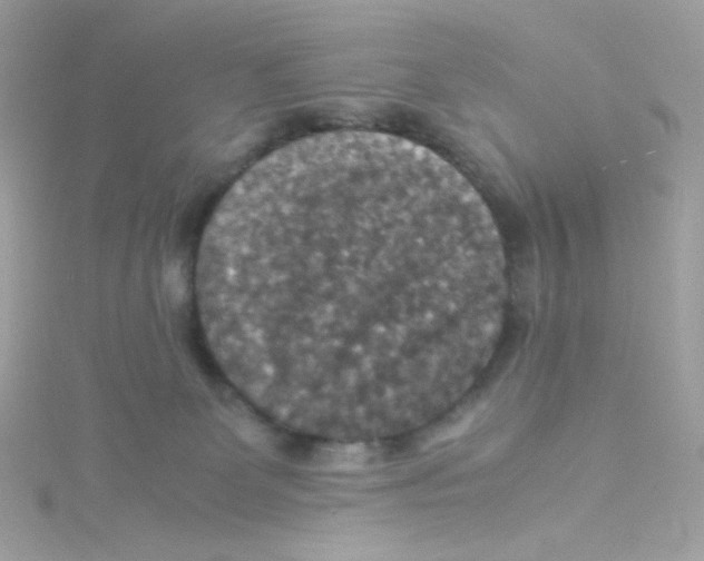 X0000115510131200911271439