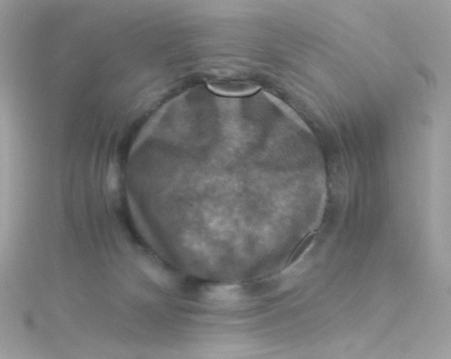 X0000115510132200911271439