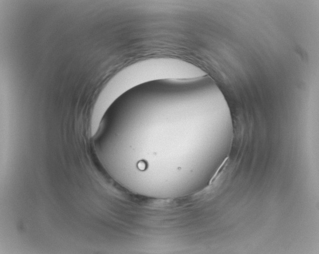 X0000115510136200911271439