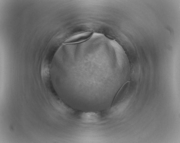 X0000115510137200911271438