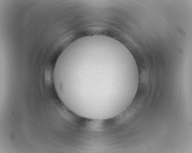 X0000115510138200911271438