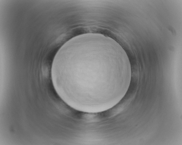 X0000115510139200911271438