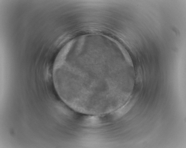 X0000115510140200911271438