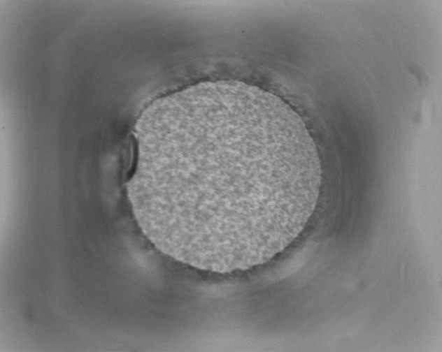 X0000115510144200911271438