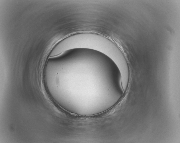 X0000115510145200911271438