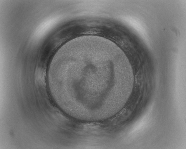 X0000115510146200911271438