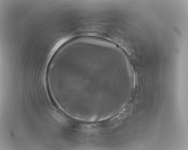 X0000115510147200911271438