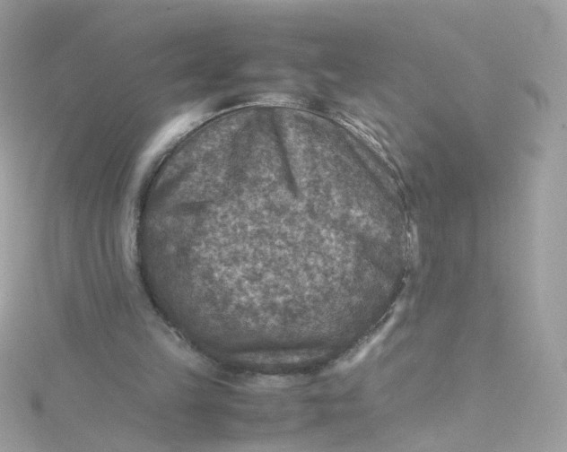 X0000115510149200911271438