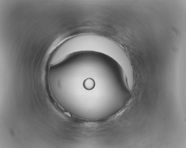 X0000115510150200911271438