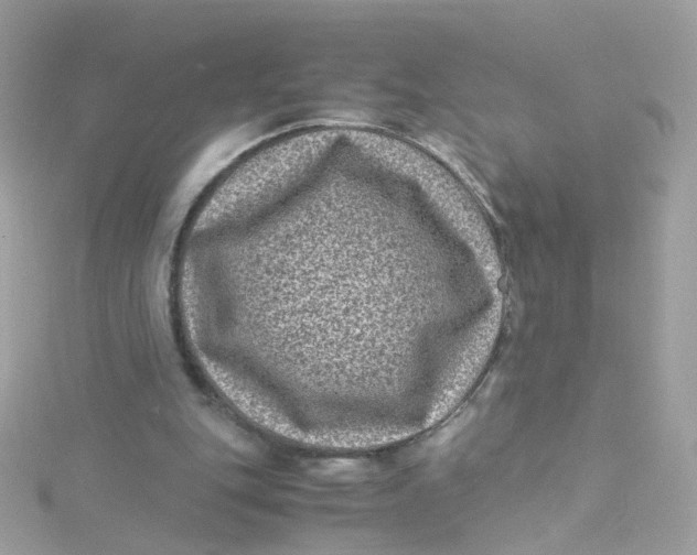 X0000115510151200911271438