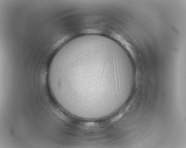 X0000115510153200911271438