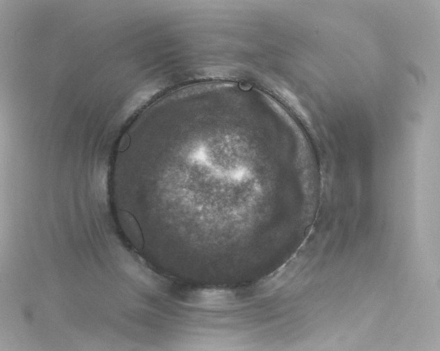 X0000115510154200911271438