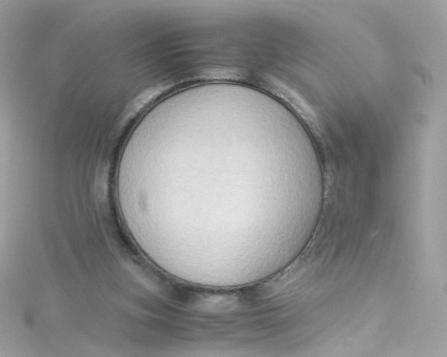 X0000115510155200911271438