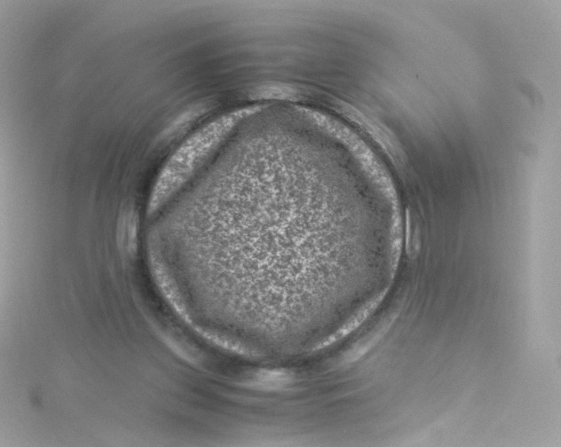 X0000115510157200911271438