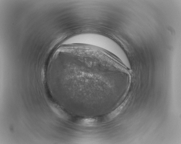 X0000115510158200911271438