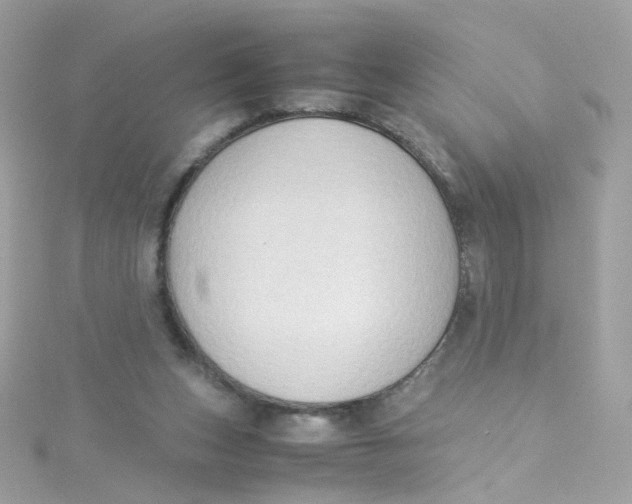 X0000115510159200911271438