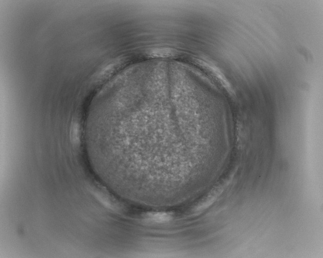 X0000115510161200911271438