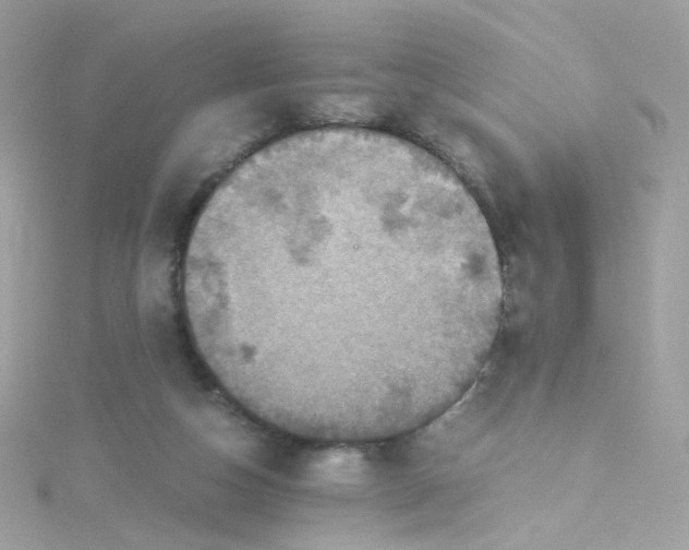 X0000115510162200911271438