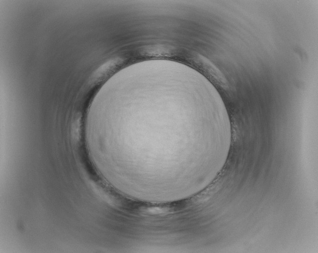 X0000115510163200911271438