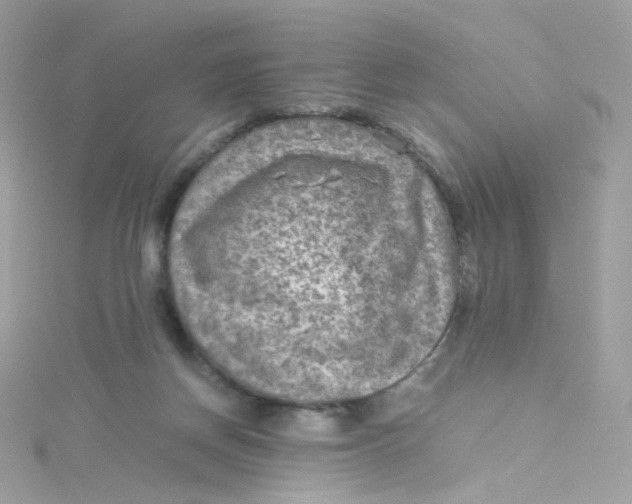 X0000115510166200911271438