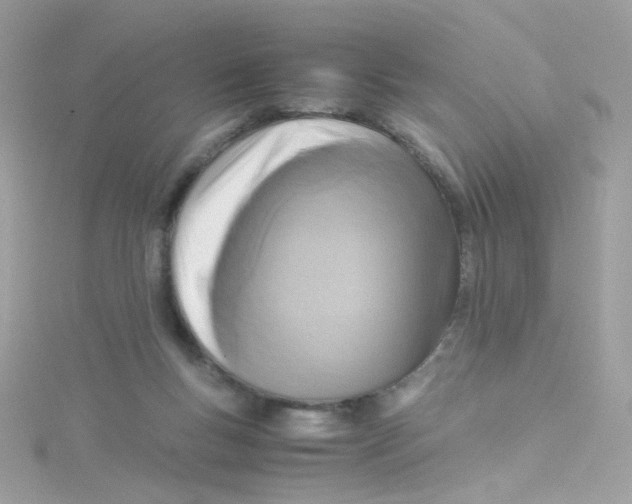 X0000115510167200911271438