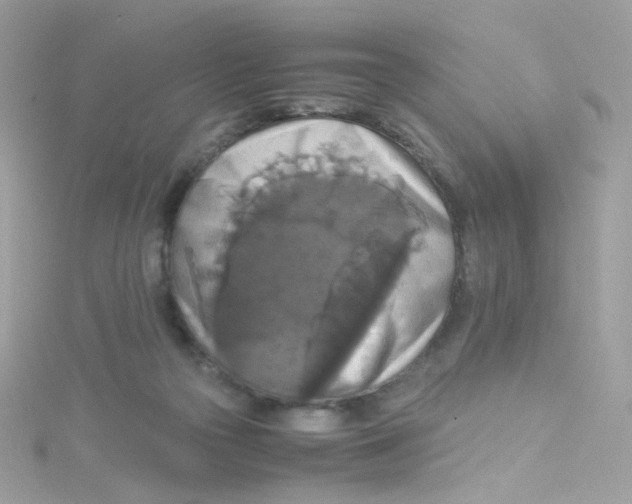 X0000115510169200911271438