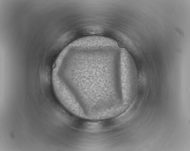 X0000115510170200911271438