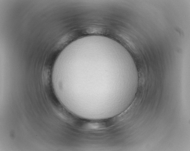 X0000115510171200911271438