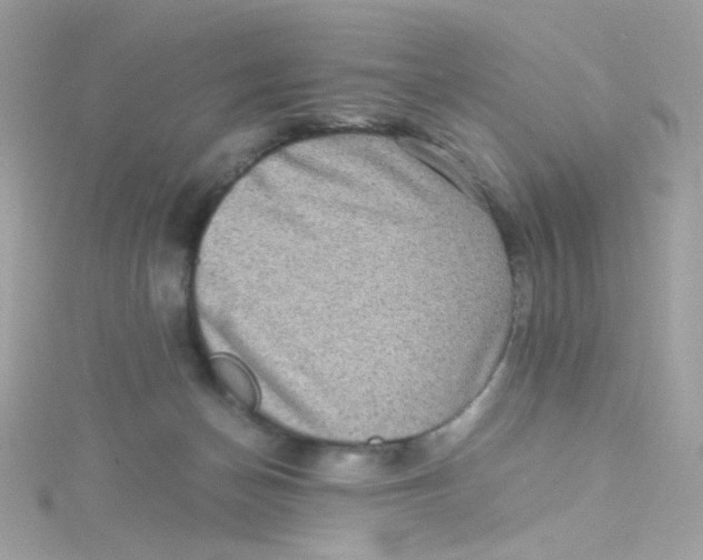 X0000115510174200911271438