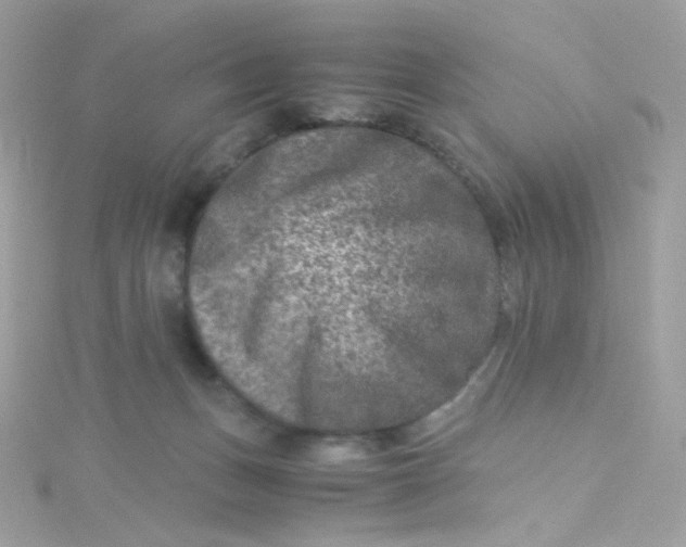 X0000115510175200911271438