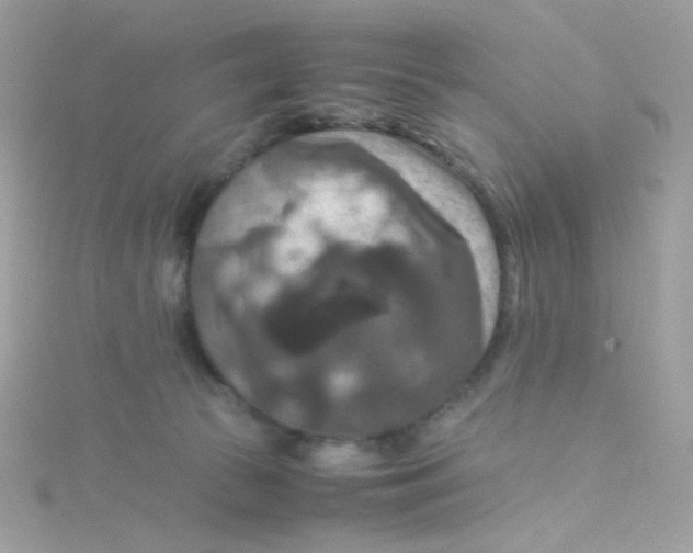 X0000115510177200911271438