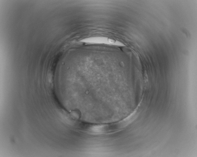 X0000115510178200911271438