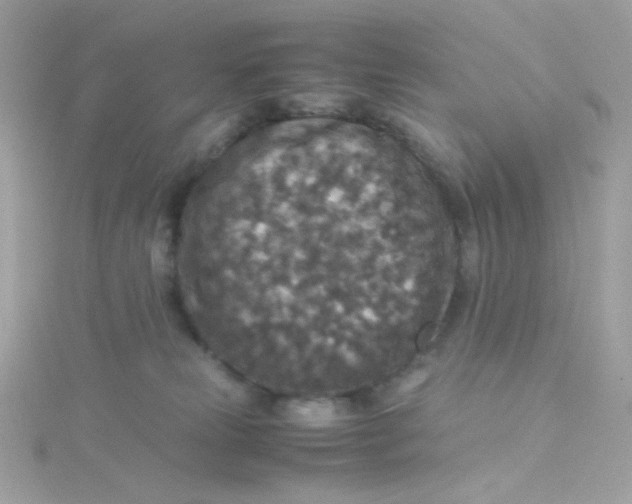 X0000115510181200911271438