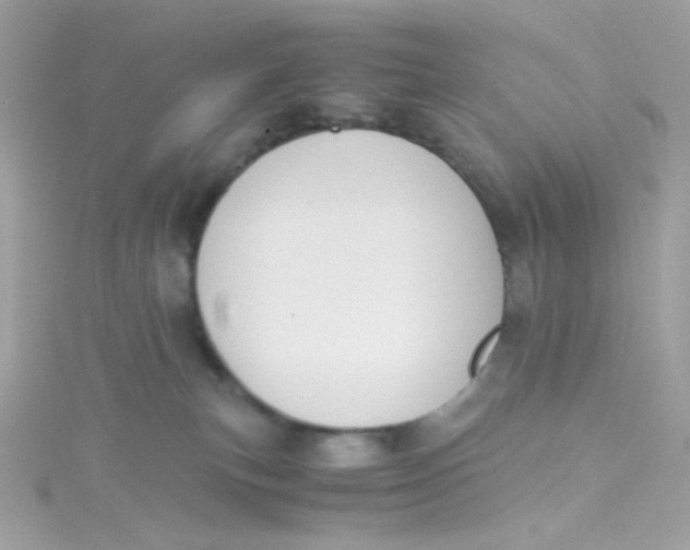 X0000115510183200911271438