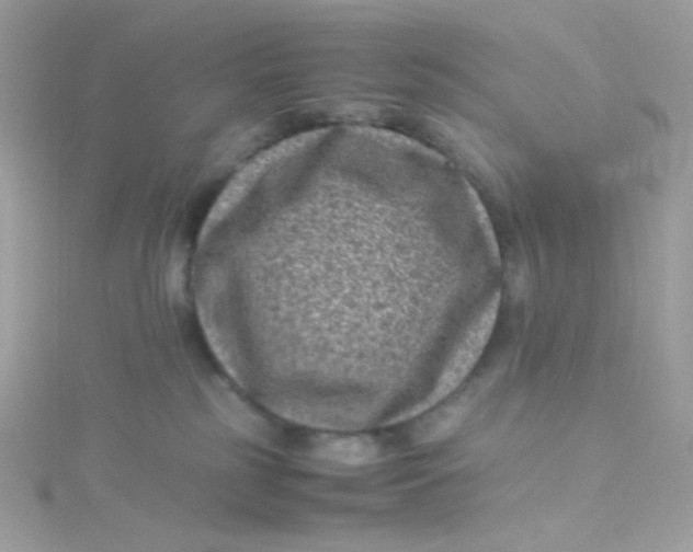 X0000115510185200911271438