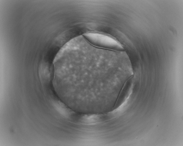 X0000115510186200911271438