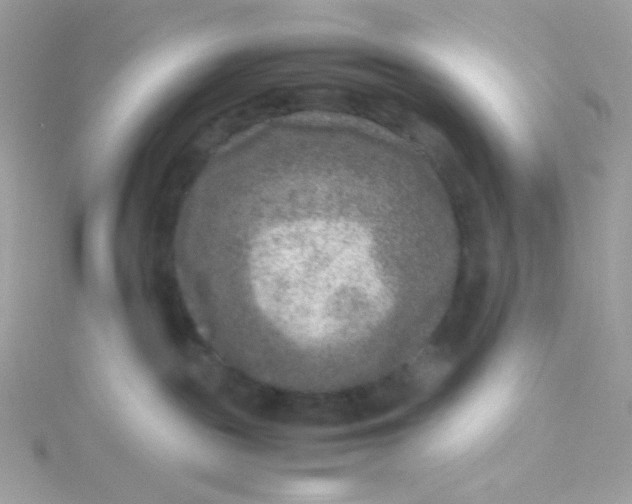 X0000115510189200911271438