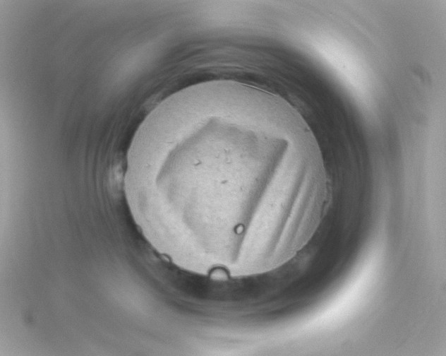 X0000115510190200911271438