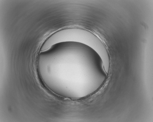 X0000115510193200911271438