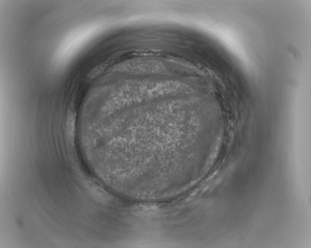 X0000115510194200911271438