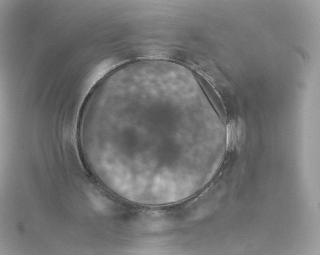 X0000115510195200911271438