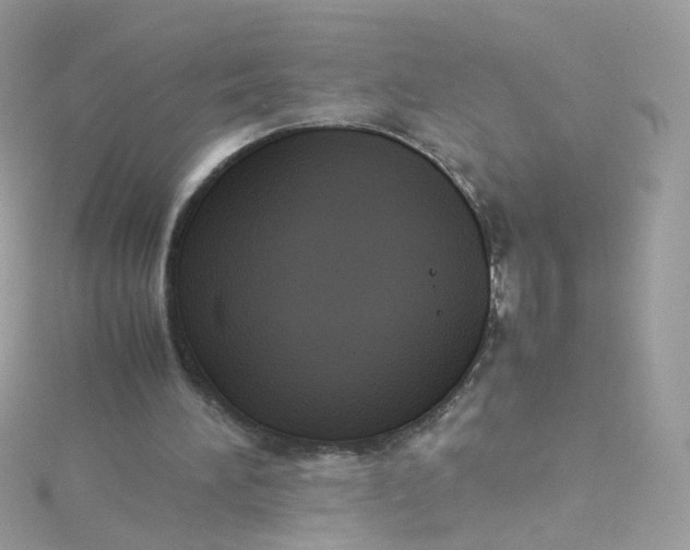 X0000115510196200911271438