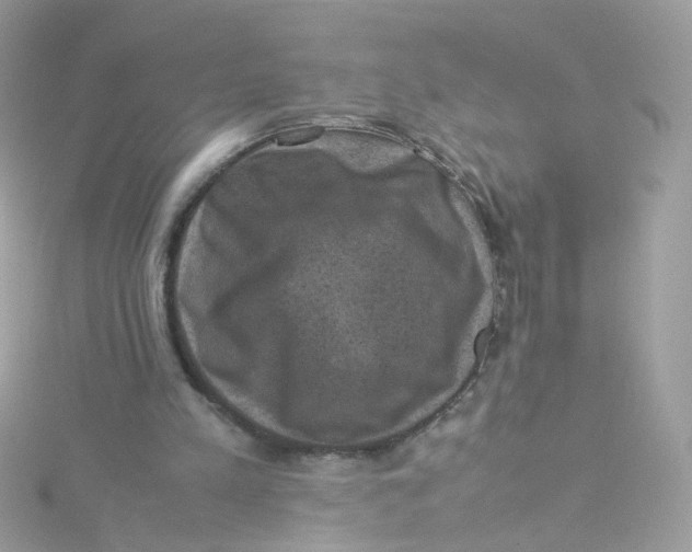 X0000115510197200911271438