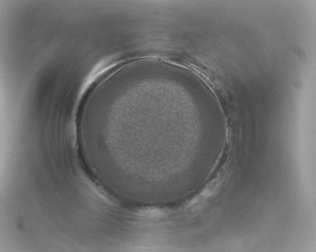 X0000115510198200911271438