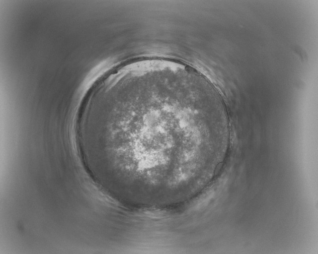 X0000115510199200911271438