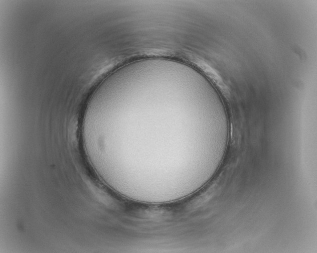 X0000115510201200911271438