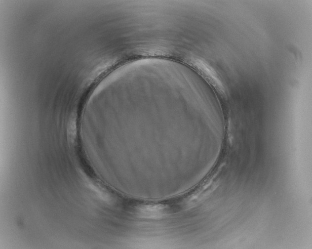 X0000115510202200911271438