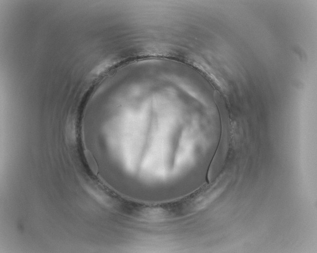 X0000115510203200911271438